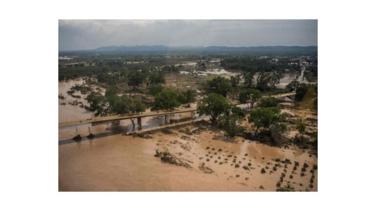 Mexico Mourns as Deadly Floods Claim 44 Lives Across Five States