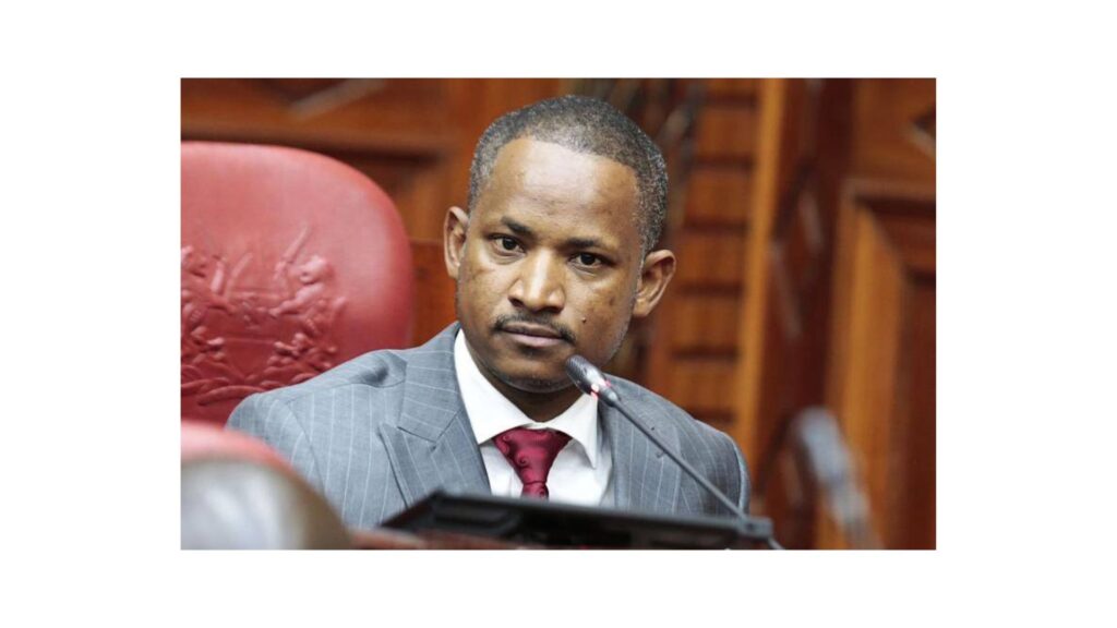 Babu Owino, LSK Vice President Move to Court to Bar Cabinet Secretaries from Engaging in Politics