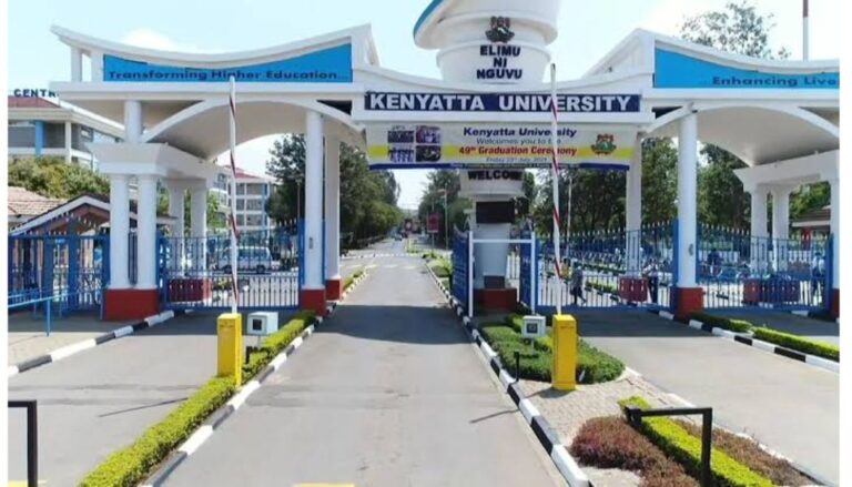 Universities release 2026/2027 admission letters - How to download