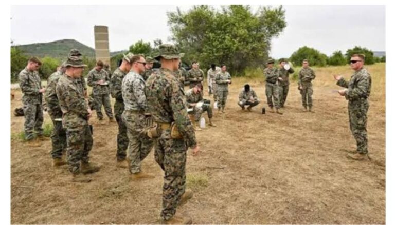 US withdraws troops against anti-IS operation in Nigeria