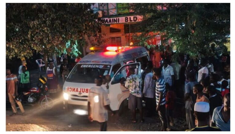 16 students were rushed to the hospital on Friday night after a swarm of bees attacked a school tour at Kambi Samaki, Baringo North.