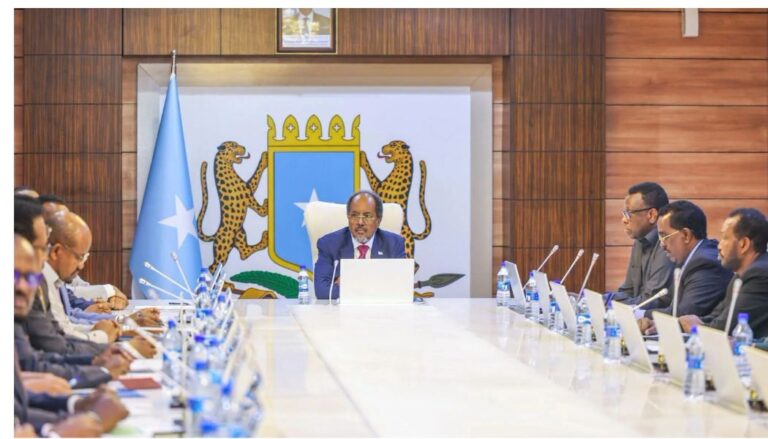 Somali President orders all senior officials holding Kenyan Passports, IDs to surrender them
