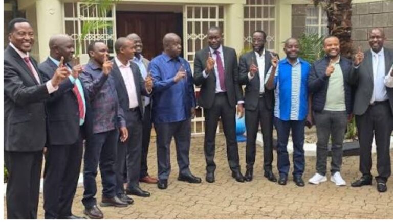 Linda Mwananchi addresses claims of entering political alliance with Jubilee
