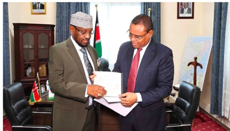 Somalia Deputy PM surrenders Kenyan Passport and ID