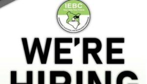 IEBC announces vacancies for several positions; How to apply