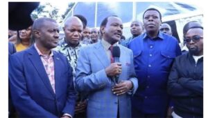 Former Deputy President Rigathi Gachagua has advised Wiper Party leader Kalonzo Musyoka to campaign in the Nyanza region. 
