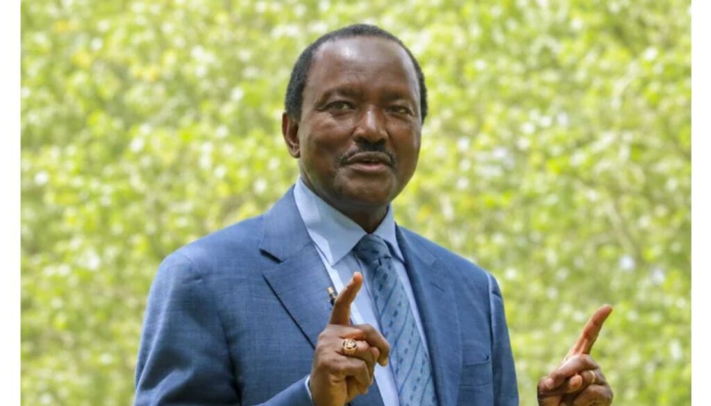 Kalonzo Musyoka says he was worth Ksh50 million as of 2022