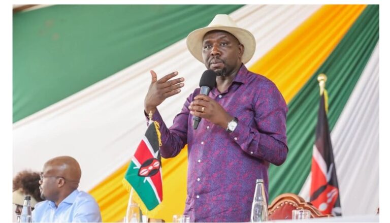 'Kenya does not have a goons crisis,' CS Murkomen says