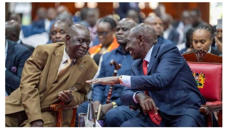 United Democratic Alliance (UDA) and the Orange Democratic Movement (ODM) are set to receive the largest share of the Political Parties Fund