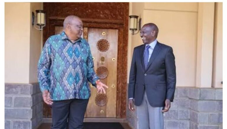 I went to Ichaweri, Uhuru’s office seeking his support but refused... Ruto