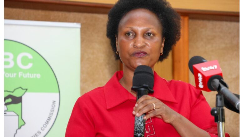 IEBC) Commissioner An Nderitu has revealed that a university degree is not a requirement to run for public office in the 2027 General Election.