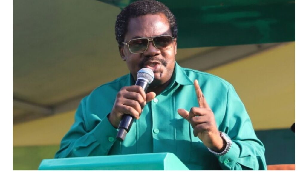 Former Tanzania vice president missing days after resigning