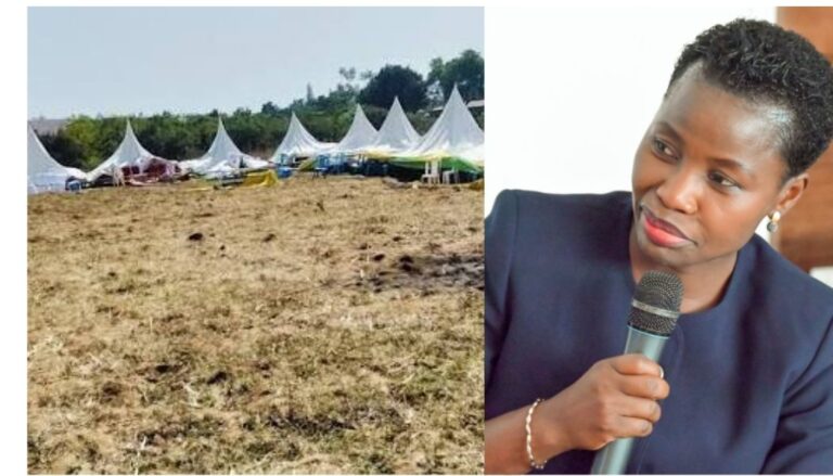 Susan Mang'eni has accused Kenya's Ambassador to Uganda Ababu Namwamba of masterminding the chaos witnessed during a UDA event in Budalangi, Busia County.
