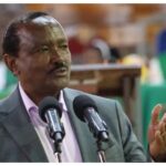 Kalonzo asked Ruto to make him Senate Speaker - UDA MP