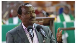 Kalonzo asked Ruto to make him Senate Speaker - UDA MP