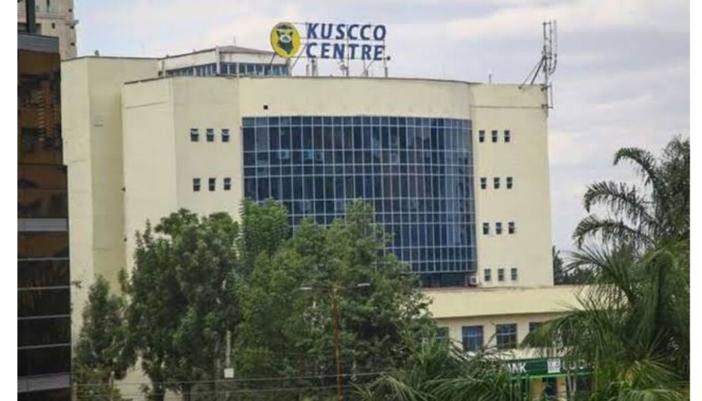Kenyan SACCO members risk losing KSh 11.6b after Kuscco liquidation