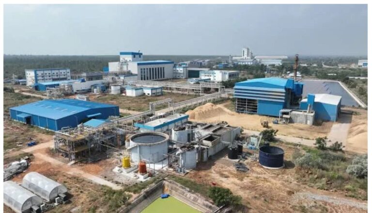 I ordered Tata Chemicals Magadi to close down - President Ruto