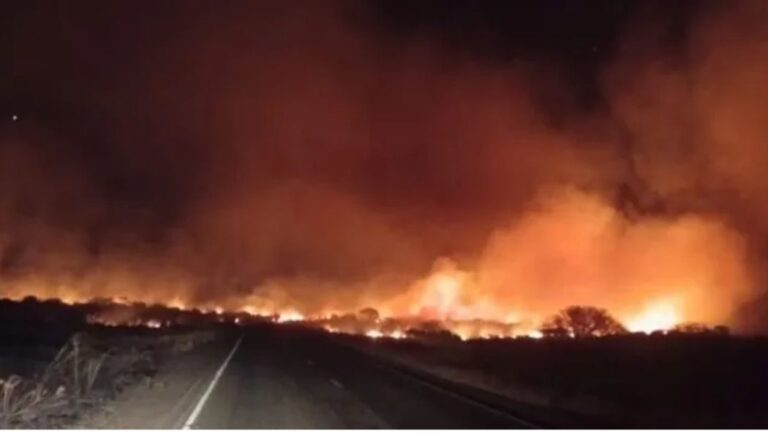 Huge bush fire breaks out along Voi-Taveta Road