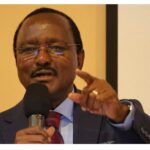 It was painful being subjected to an interview in 2022 – Kalonzo