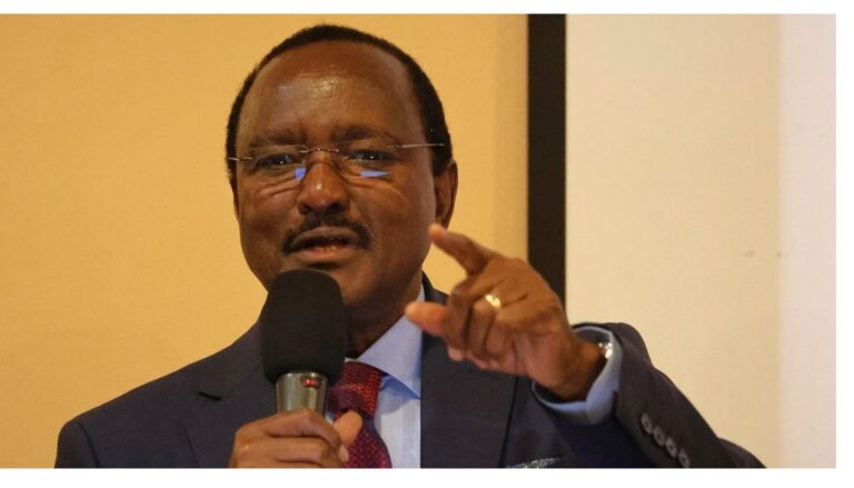 It was painful being subjected to an interview in 2022 – Kalonzo