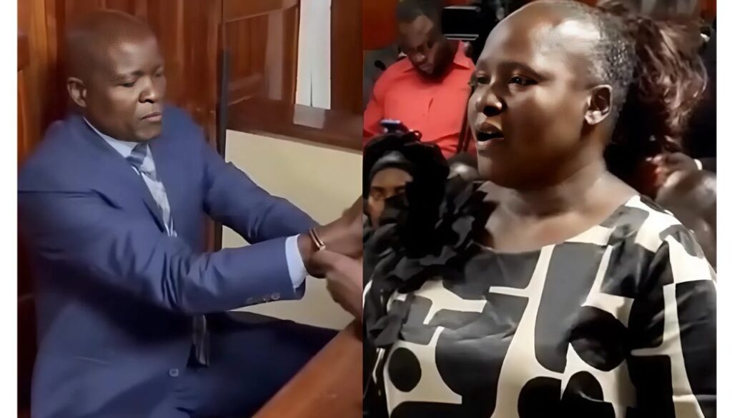 Sharon Otieno's mother pleads with court not to impose a custodial sentence on Obado
