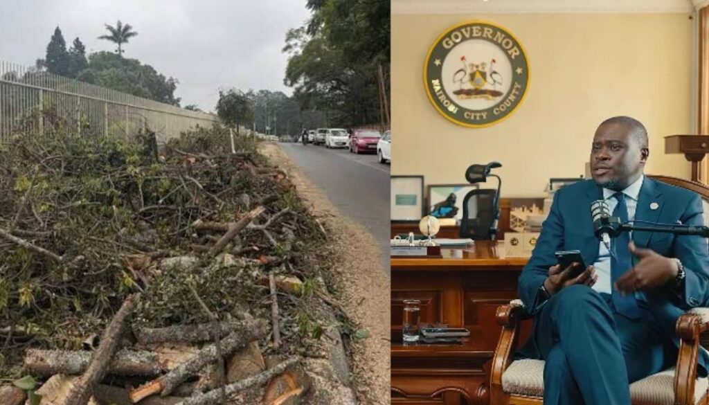 I almost collapsed when trees were cut down on State House Road; Sakaja