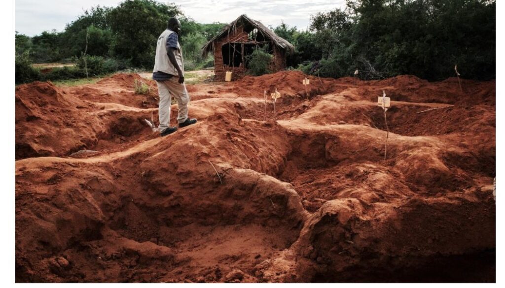 Kilifi County Government plans to inter 443 bodies and body parts recovered from Shakahola by December, following the completion of investigations