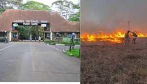 Fire breaks out at Nairobi National Park