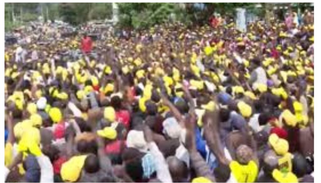 UDA MP Bernard Kitur heckled in Ruto’s presence