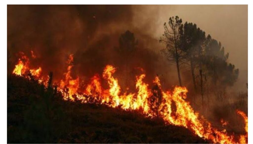 Huge fire breaks out at Tsavo National Park