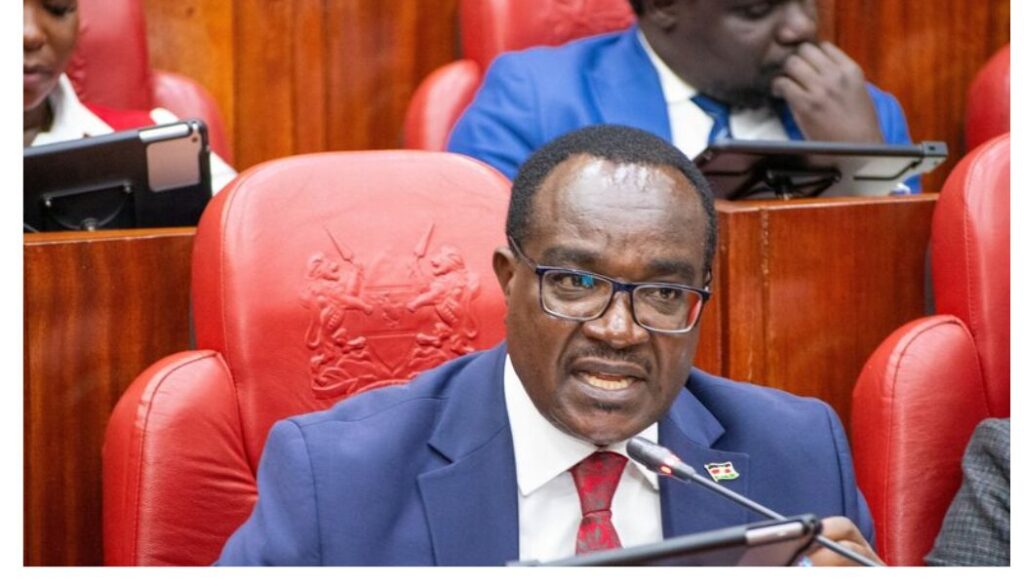 20,000 intern teachers to get permanent jobs by January 2027; CS Ogamba