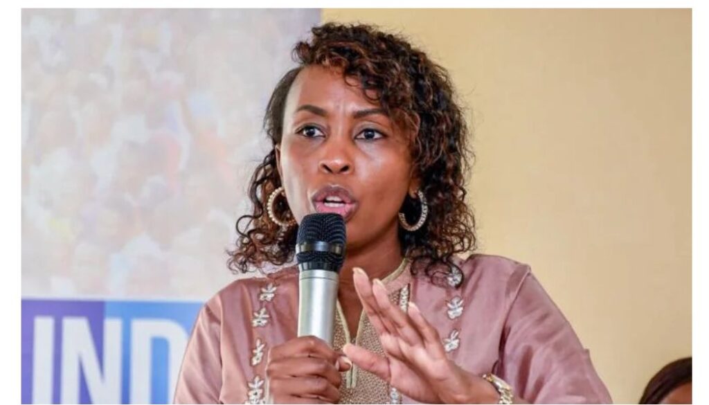 Linda Mwananchi Movement announces Presidential Campaign Secretariat team