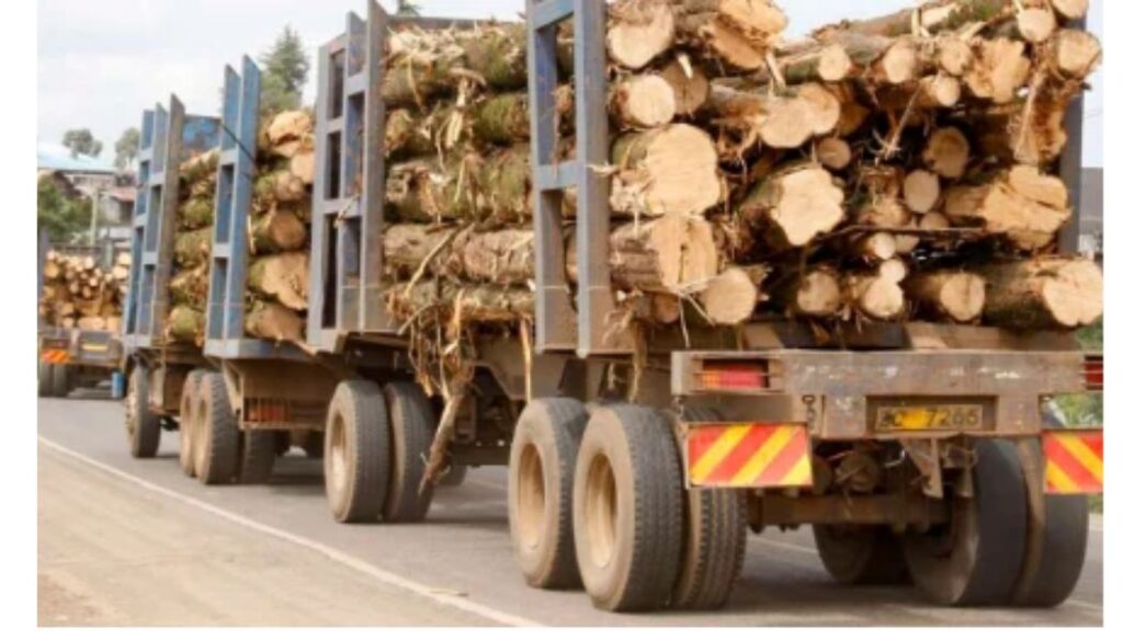 Court temporarily stops logging activities in Aberdare forest