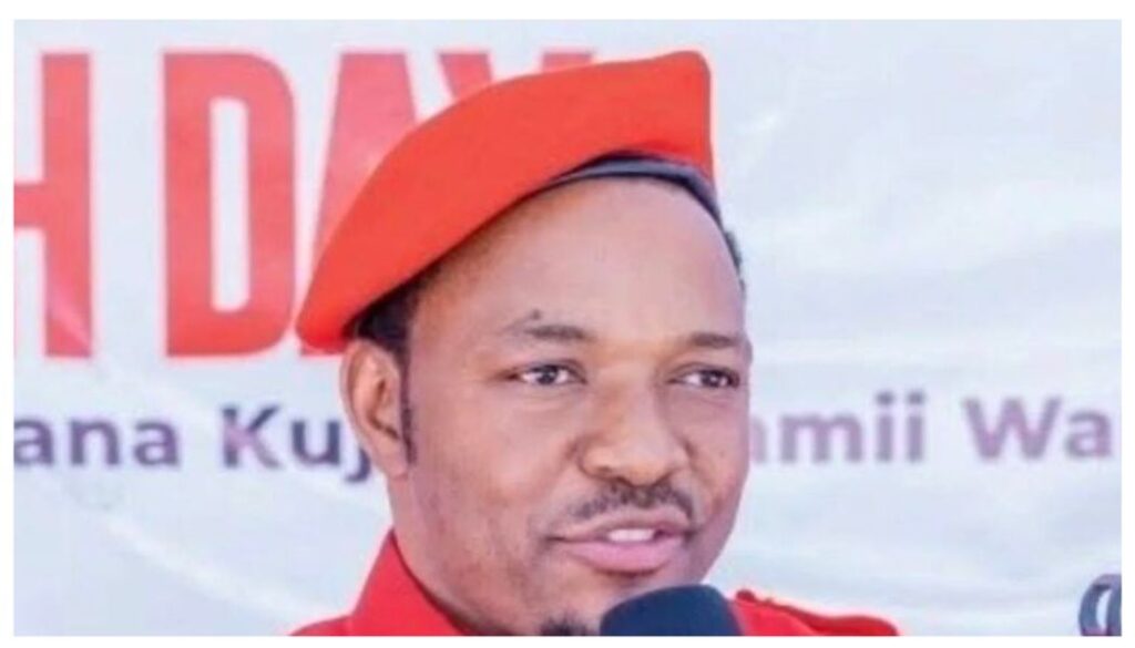 Tanzanian Activist Twaha Mwaipaya abducted by armed men in Kenya