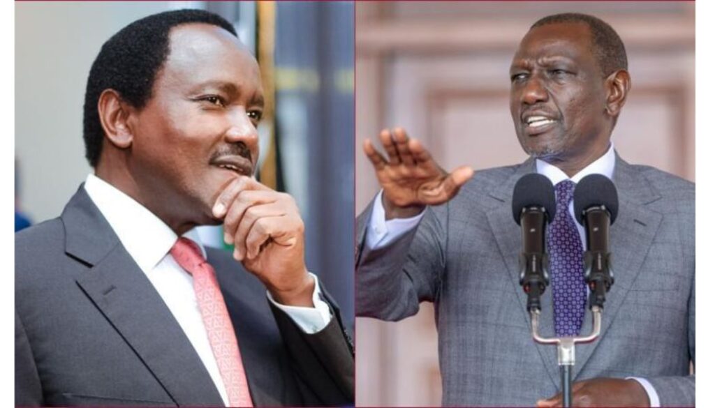 I campaigned for Kalonzo in 1992 in Mwingi - President Ruto