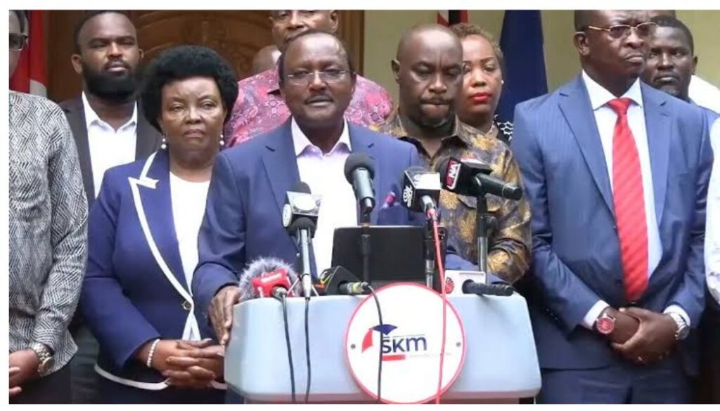 I will defeat Ruto in Luo Nyanza if given the opposition flagship - Kalonzo