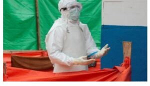 First Human case of Shamonda virus reported in France as patient dies